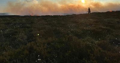 Six fire crews battle to put out five-mile Fintry blaze amid summer wildfire warning