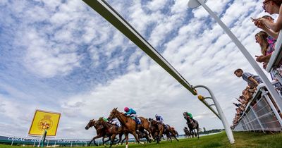 Newsboy's horseracing selections for Friday's six meetings, including Goodwood Nap