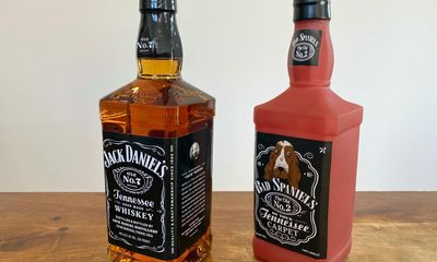 Whiskey-a-no-no: dog toy cannot mimic Jack Daniel’s, US supreme court rules