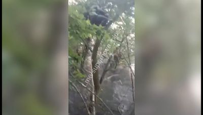 Moment Russian soldiers become ‘stuck in tree’ after destruction of Kakhova dam