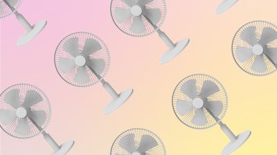 Prepping for hot girl summer? Here's how to clean a fan (properly)