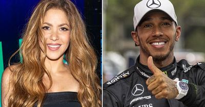 Shakira and Lewis Hamilton enjoying 'fun and flirty time together'