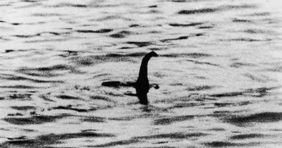 Loch Ness Monster hunters offered huge £25,000 reward for proof elusive Nessie exists