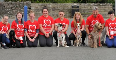 Castle Douglas vets to walk 1,000 miles for British Heart Foundation