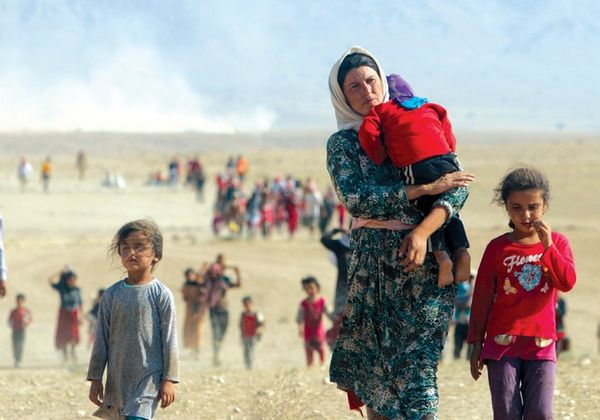 Yazidi genocide