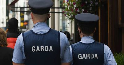 Missing person search stood down as man's body found in Dublin