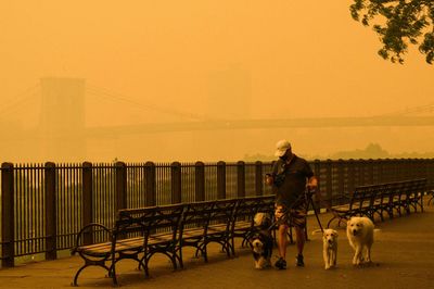 3 lessons from the Western U.S. for dealing with wildfire smoke
