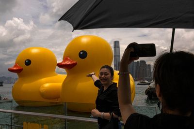 Giant inflatable ducks make a splash in Hong Kong as pop-art project returns after 10 years