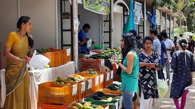 Poor footfall forces organisers of Mango Mela to extend event by 10 days till June 21