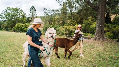 Want to walk an alpaca? Head to this farm in Australia where you can feed these furry creatures as you picnic by a creek