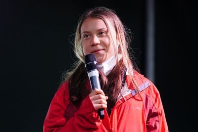 Sell-out Greta Thunberg book festival event to be livestreamed due to popularity