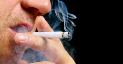 Health minister Stephen Donnelly not ruling out health warnings on individual cigarettes