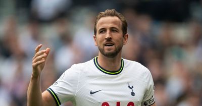 Harry Redknapp 'certain' over Harry Kane Tottenham transfer decision amid Real Madrid interest