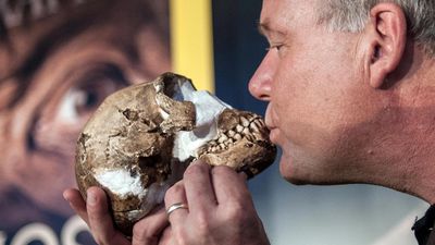 World’s oldest prehistoric burial site discovered in South Africa