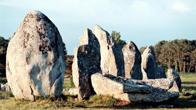 Outcry in Brittany as megalithic standing stones cleared for construction of DIY store