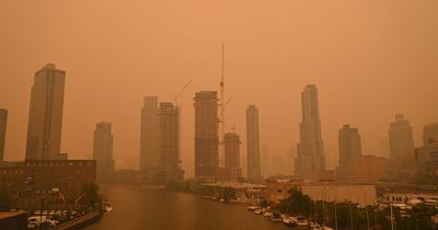 Foreign Office issues travel warning for Brits heading to the US amidst wildfire smog