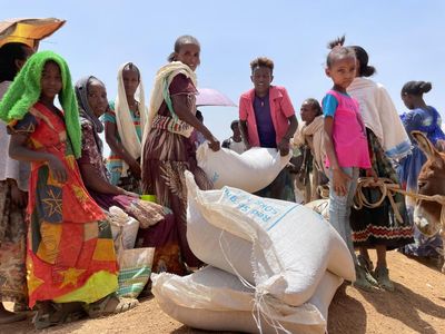 Food aid suspended in Ethiopia after ‘widespread and coordinated’ thievery