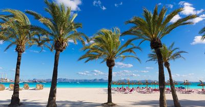 UK travellers issued Spain warning amid crackdown which could lead to £2,500 fines