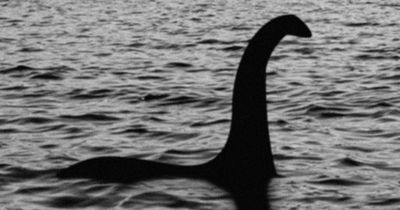 Millionaire looking for proof Loch Ness Monster exists offers huge cash reward