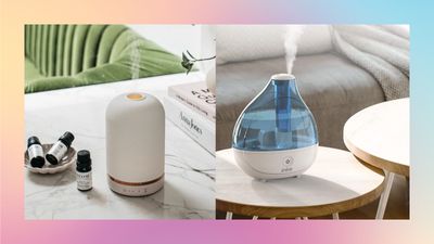 Diffuser vs humidifier: what’s the difference?