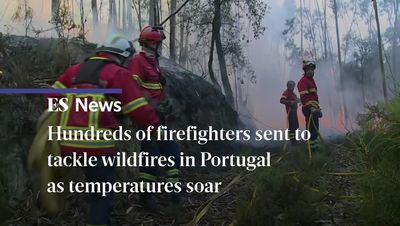 How do wildfires start? Firefighters tackle blaze raging in Portugal