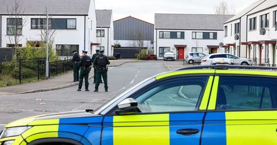 Ards North Down feud policing operation costs nearly £500k, PSNI says