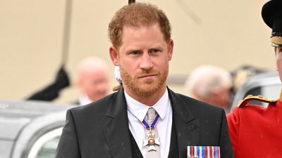 Prince Archie’s ‘perfect’ 4th birthday gift delivery for special hobby Prince Harry ‘never was able to do’