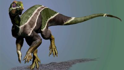Dinosaur named after 2-faced Roman god could be 'missing link' in duck-billed dinos' evolution