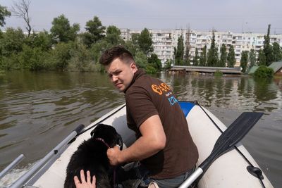 'All life should be valued': Volunteers rush to save animals after Ukraine dam collapse