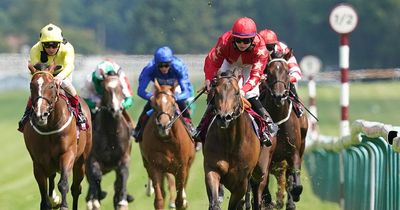 Newsboy's ITV racing tips for Saturday's televised action at Haydock and Beverley