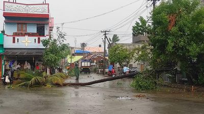 Rain brings respite from heat in Vellore, nearby districts