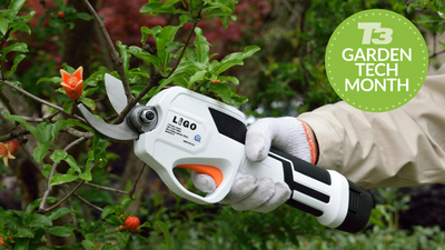 Hand garden tools: why electric wins every time