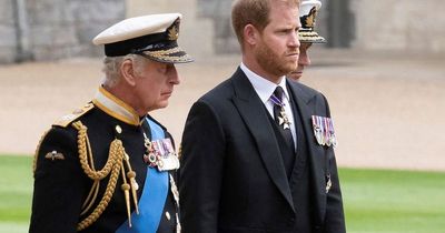 Prince Harry gave King Charles 'warning' over daughter Lilibet in birthday drama