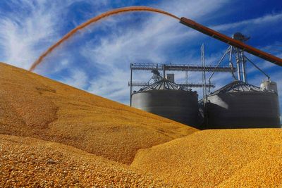 Canada joins US in trade dispute hearings against Mexico's proposed ban on GM corn