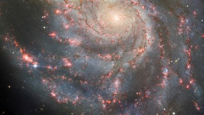 See new supernova shine bright in stunning Pinwheel Galaxy photo