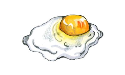 Can you cook an egg on a car bonnet on a sunny day? Try our kids’ quiz