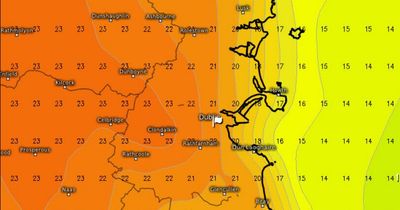 Dublin weather: Met Eireann forecasts warm and humid weekend ahead with possible 'thundery' surprises