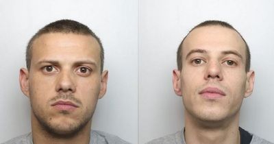 Brothers steal high-value cars in crime spree across three counties