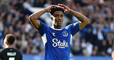 Everton have already made a transfer decision that hints at Demarai Gray sale dilemma