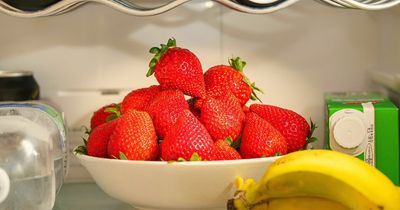 There's a hidden compartment in your fridge that can make your kitchen smell