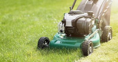 Expert issues advice on how to stop lawn drying out during heatwave