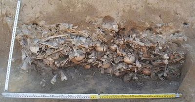 Grave containing 450 decapitated 'VAMPIRES' discovered during roadworks in village