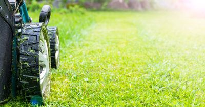 Gardening expert warns of mowing mistake in hot weather that can ruin your lawn