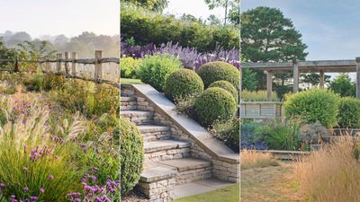 Modern garden ideas – 10 contemporary, climate-positive ways to design yours