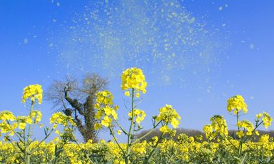 It needs more than a pollen forecast to ease the proliferation of allergies