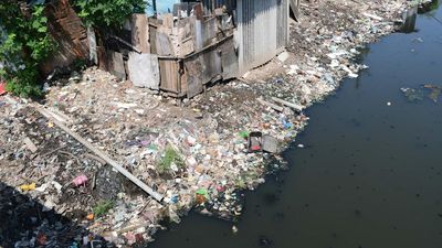 Buckingham Canal | A waterway once is sewage-carrier now