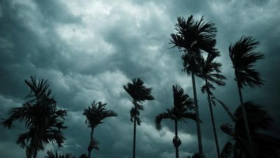 Monsoon in Malabar