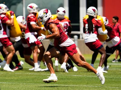 Rookie WR Michael Wilson is latest Cardinals player paired with pro soccer player