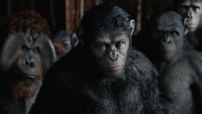 Kingdom Of The Planet Of The Apes Star Talks Meeting Andy Serkis For The New Movie