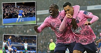 Euphoria, despair and the goal that changed everything - Everton writers' verdicts on the season